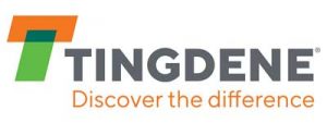 Tingdene